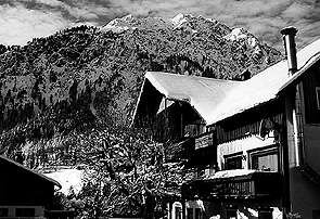 The Hotel Steinadler in Hinterstein